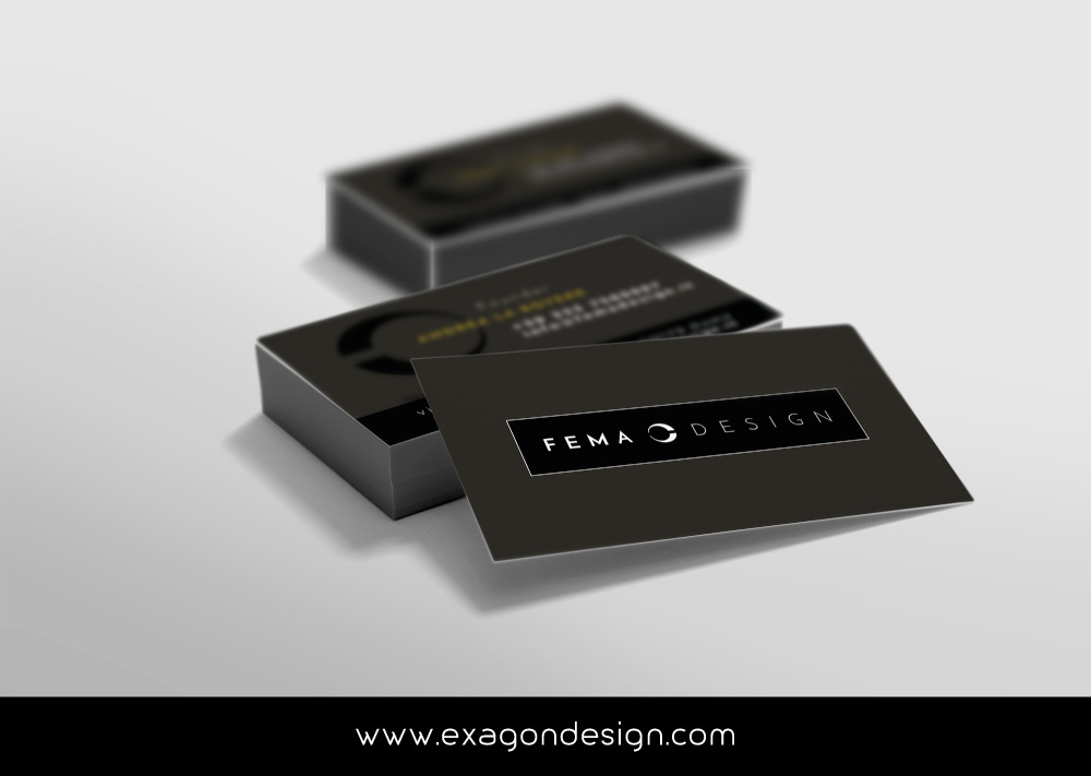 Grafica-Logo-Brand-Fema_Exagon-Design-05